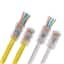 CAT6-HSP